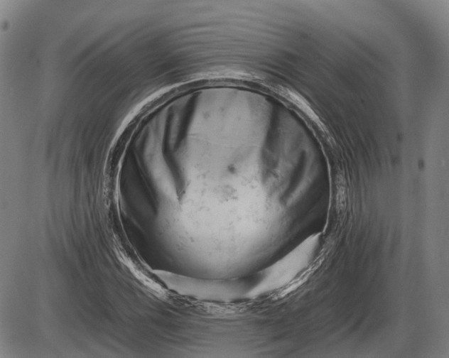 X0000085751116200703301355