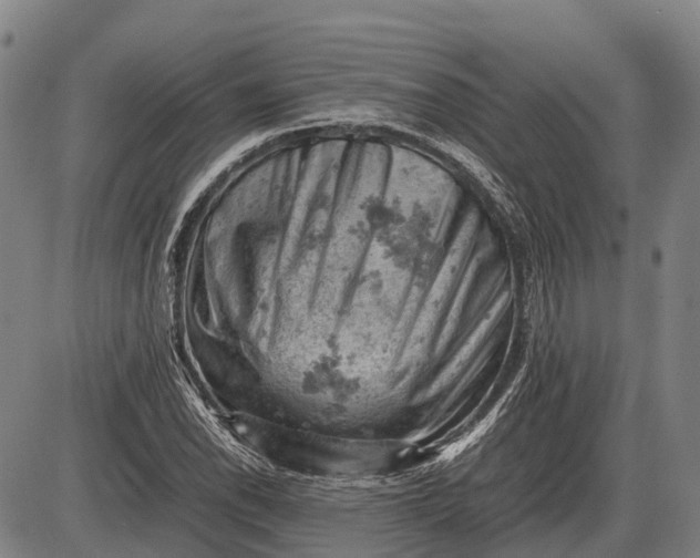 X0000085751118200703301355