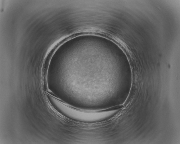 X0000085751120200703301355