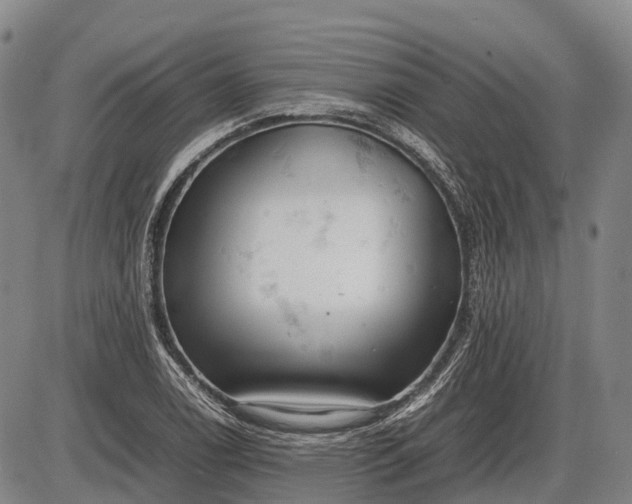 X0000085751122200703301355