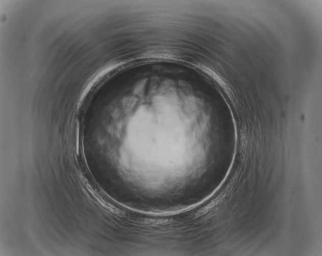 X0000085751123200703301355