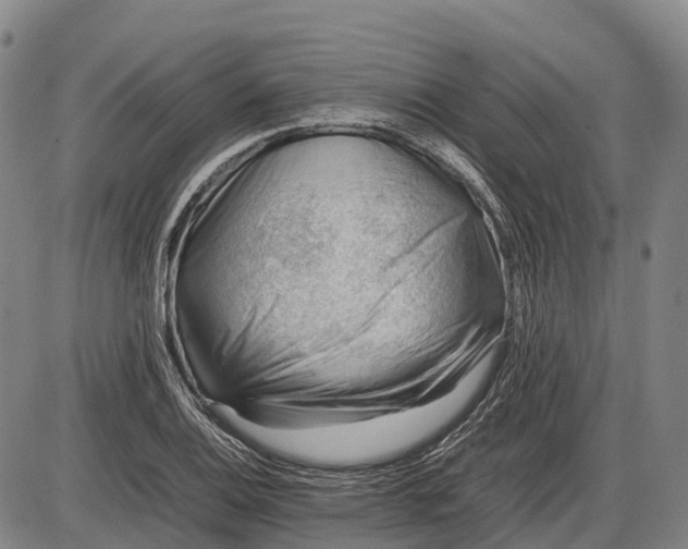 X0000085751124200703301355