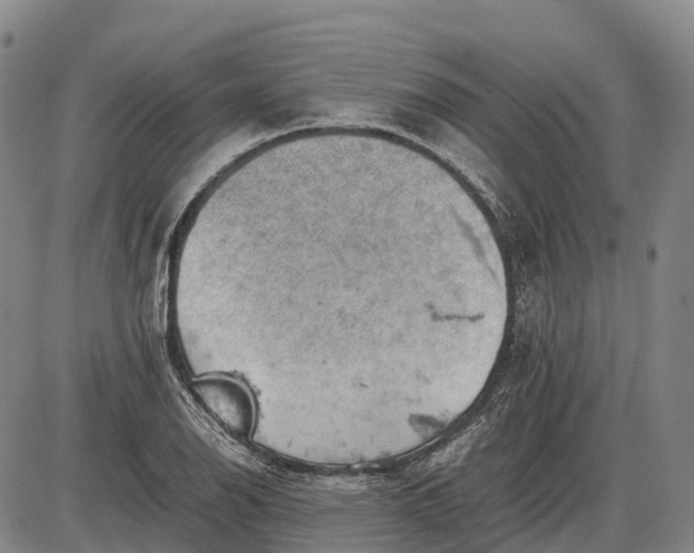 X0000085751126200703301355