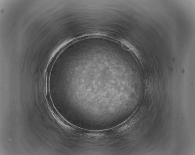 X0000085751127200703301355