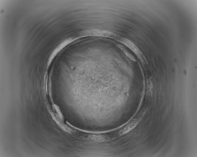 X0000085751128200703301355