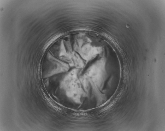 X0000085751129200703301355