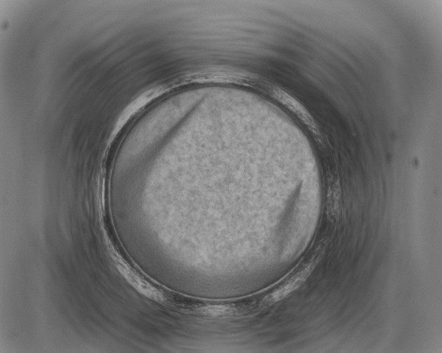 X0000085751130200703301355