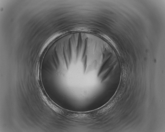 X0000085751131200703301355