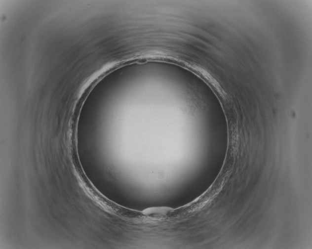 X0000085751134200703301355