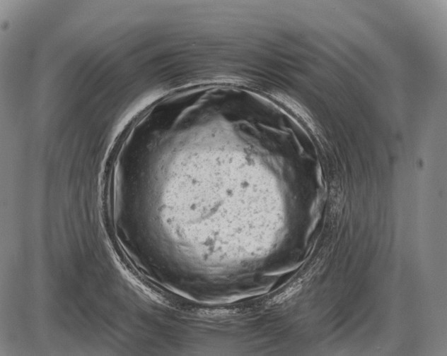 X0000085751135200703301355