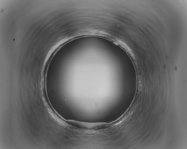 X0000085751136200703301355