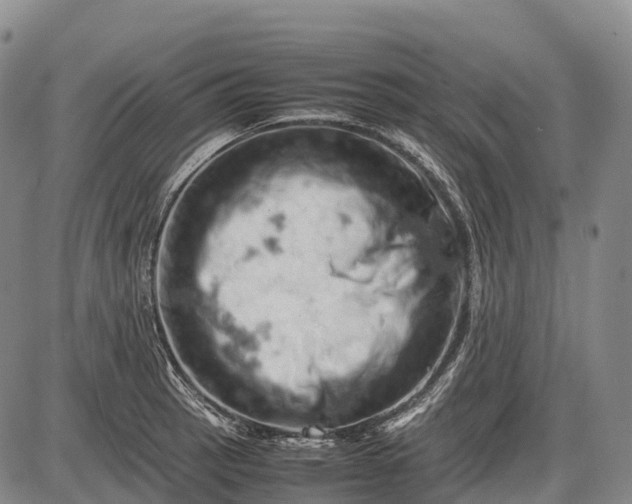 X0000085751137200703301355