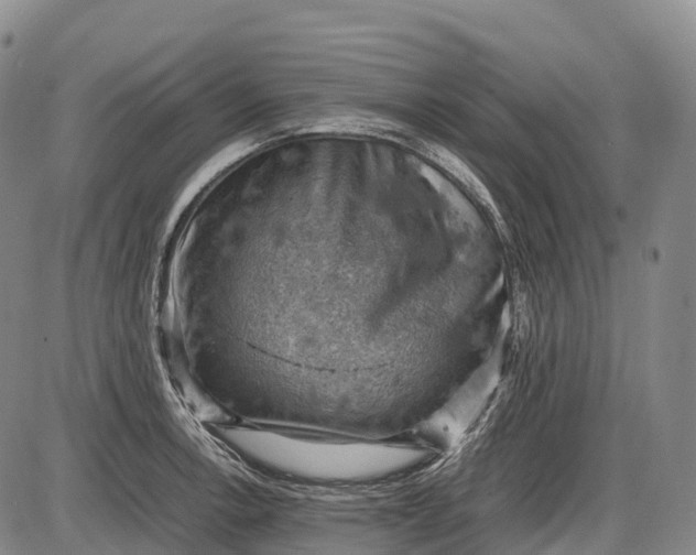 X0000085751138200703301355