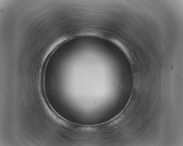 X0000085751139200703301355