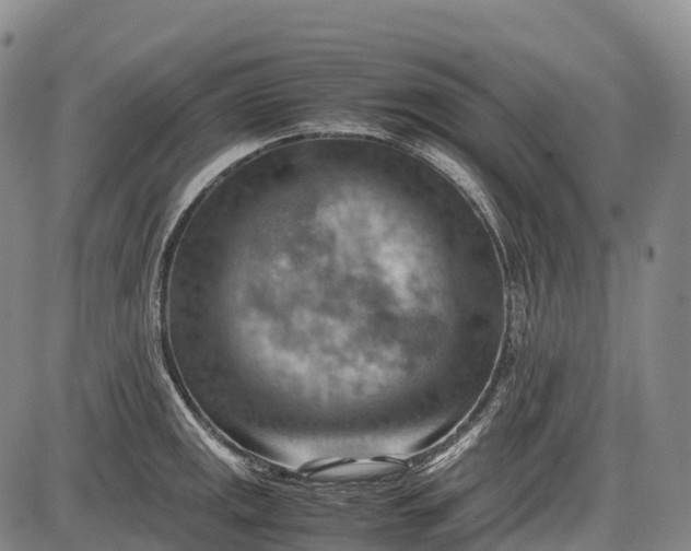 X0000085751141200703301355