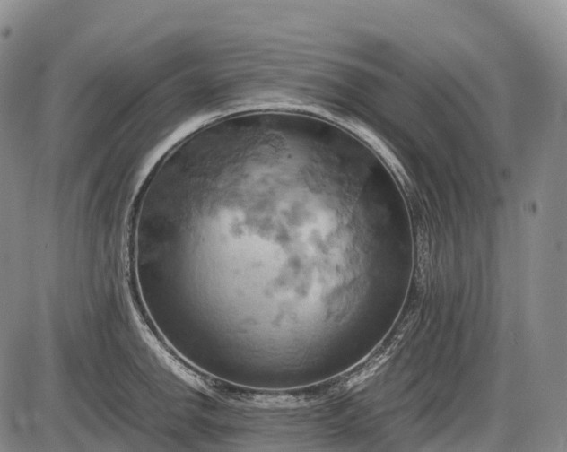 X0000085751142200703301355