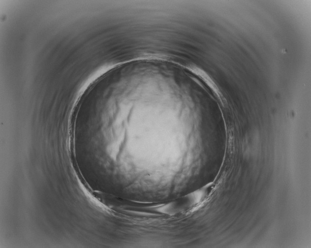 X0000085751143200703301355