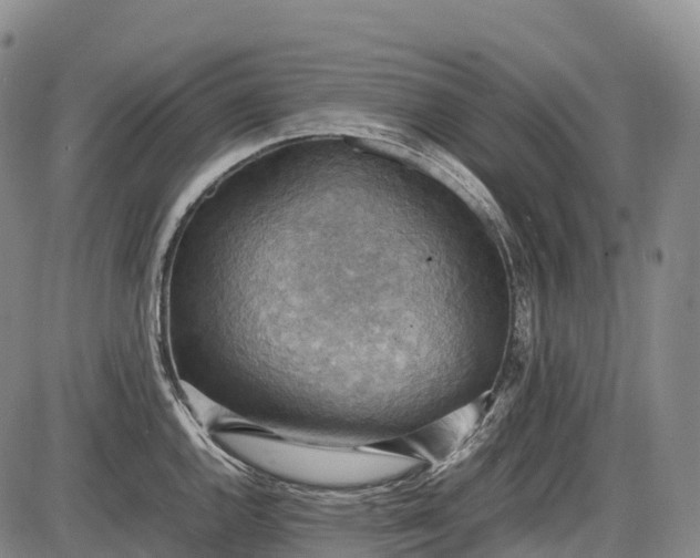 X0000085751144200703301355