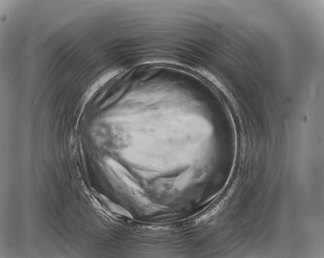 X0000085751145200703301355