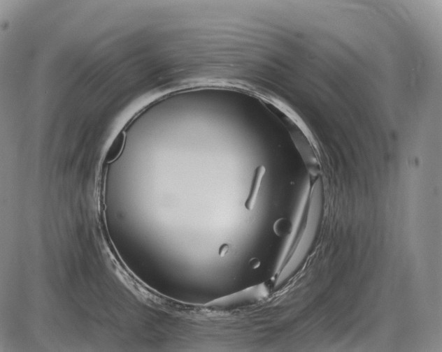 X0000085751148200703301355