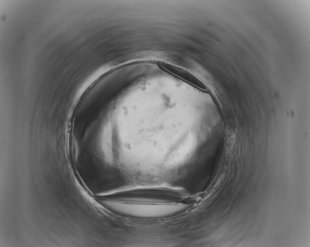 X0000085751151200703301355