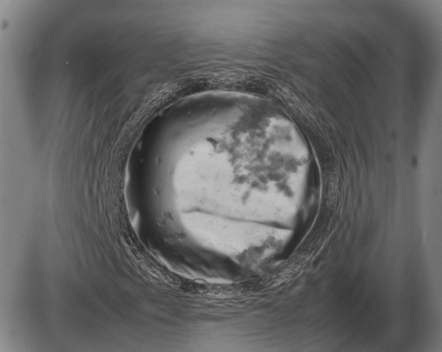 X0000085751153200703301355