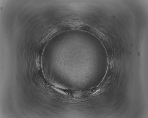 X0000085751156200703301355