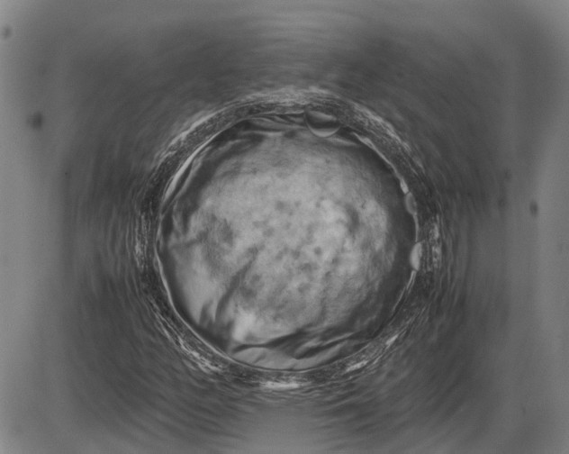 X0000085751158200703301355