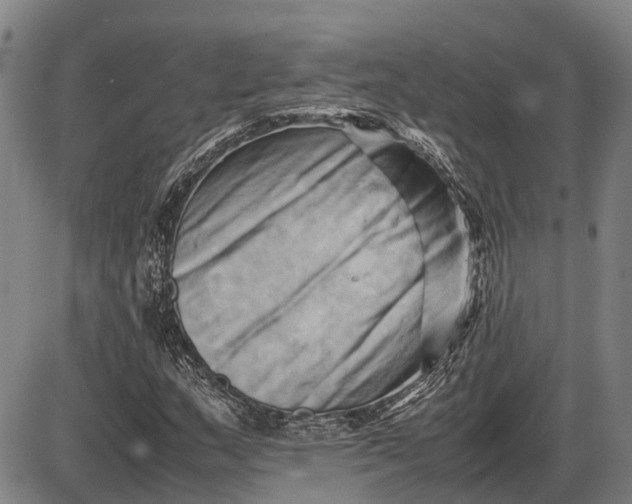 X0000085751159200703301355