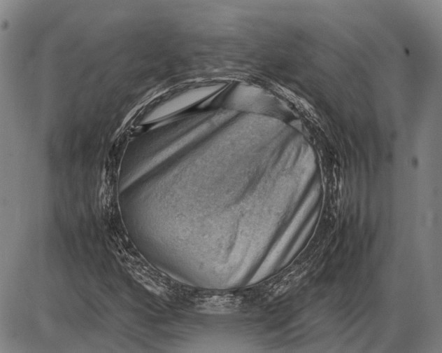 X0000085751160200703301355