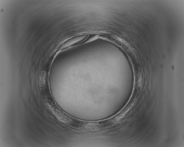 X0000085751161200703301355