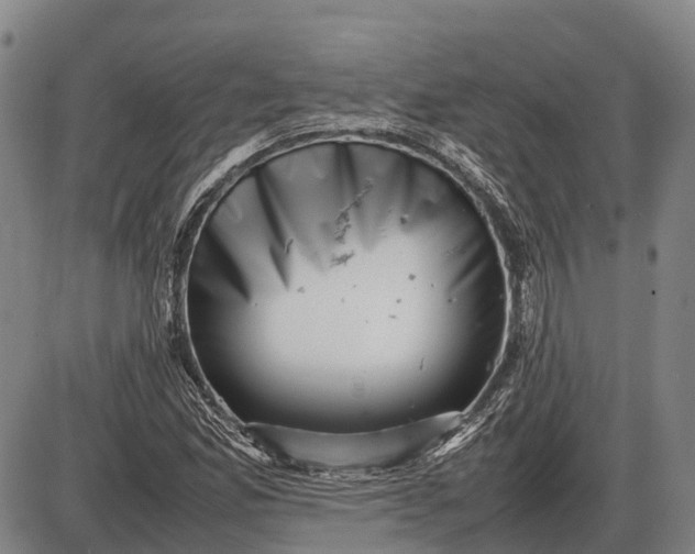 X0000085751165200703301354