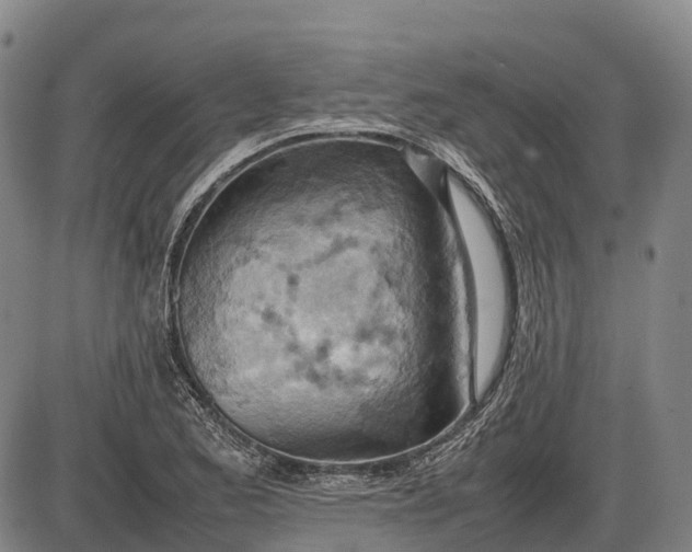 X0000085751173200703301354