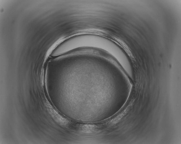 X0000085751180200703301354