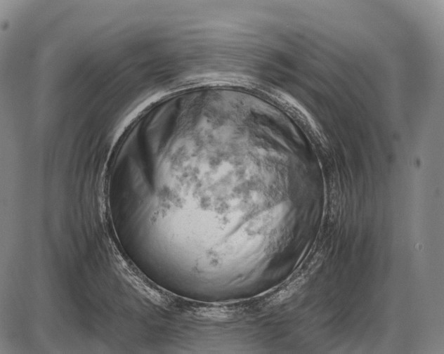 X0000085751182200703301354