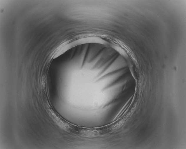 X0000085751185200703301354