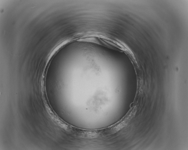 X0000085751190200703301354