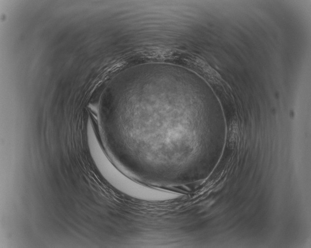 X0000085751202200703301353