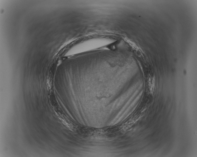 X0000085751206200703301353