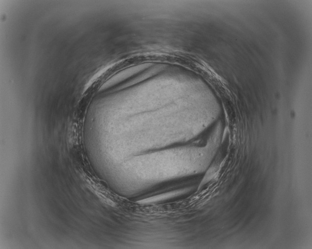 X0000085751208200703301353