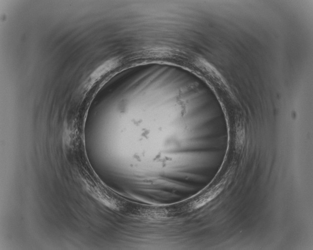 X0000085751210200703301353