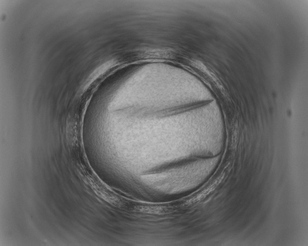 X0000085751211200703301353