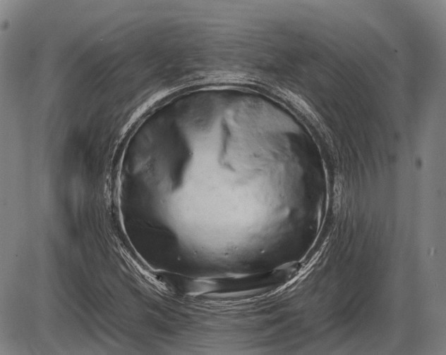 X0000085751212200703301353