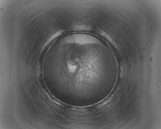 X0000085751213200703301353