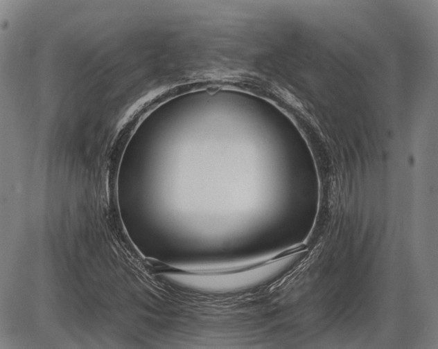 X0000085751214200703301353