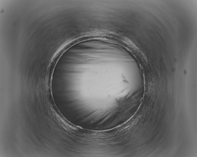 X0000085751216200703301353