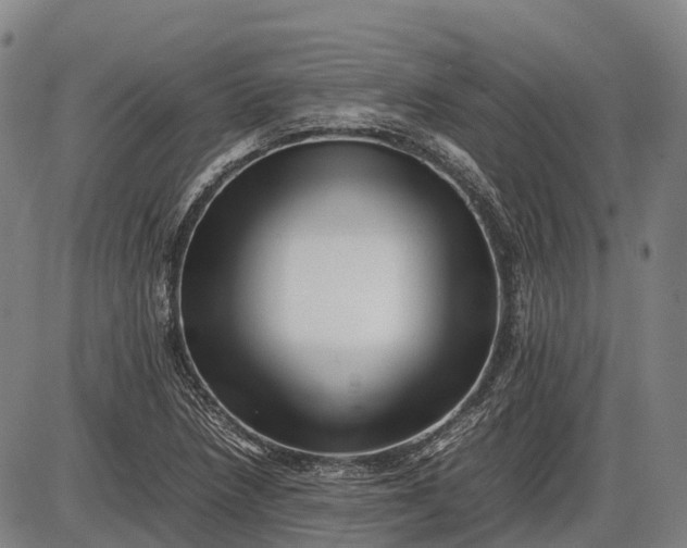 X0000085751218200703301353