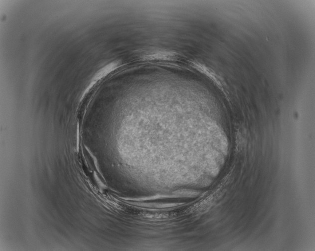 X0000085751219200703301353