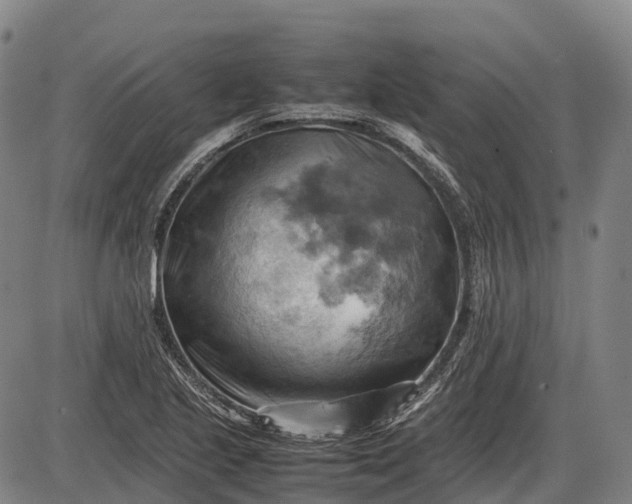 X0000085751221200703301353