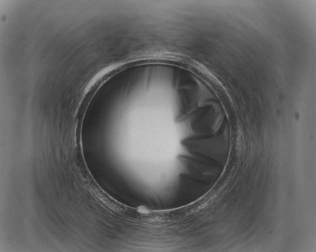 X0000085751222200703301353